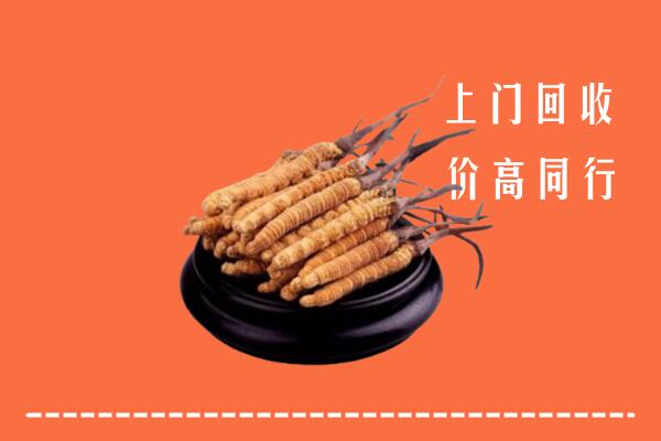 高价求购：合川区回收散虫草