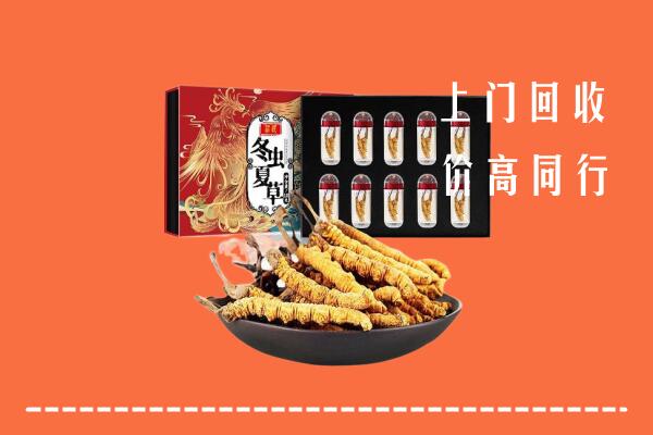 合川区回收虫草